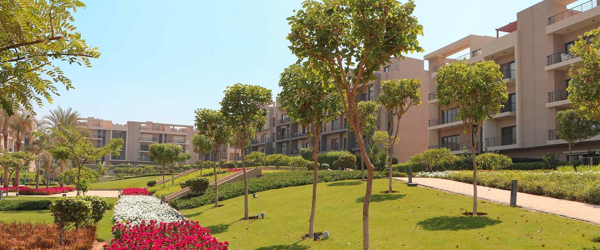 AlMarasem International for Development